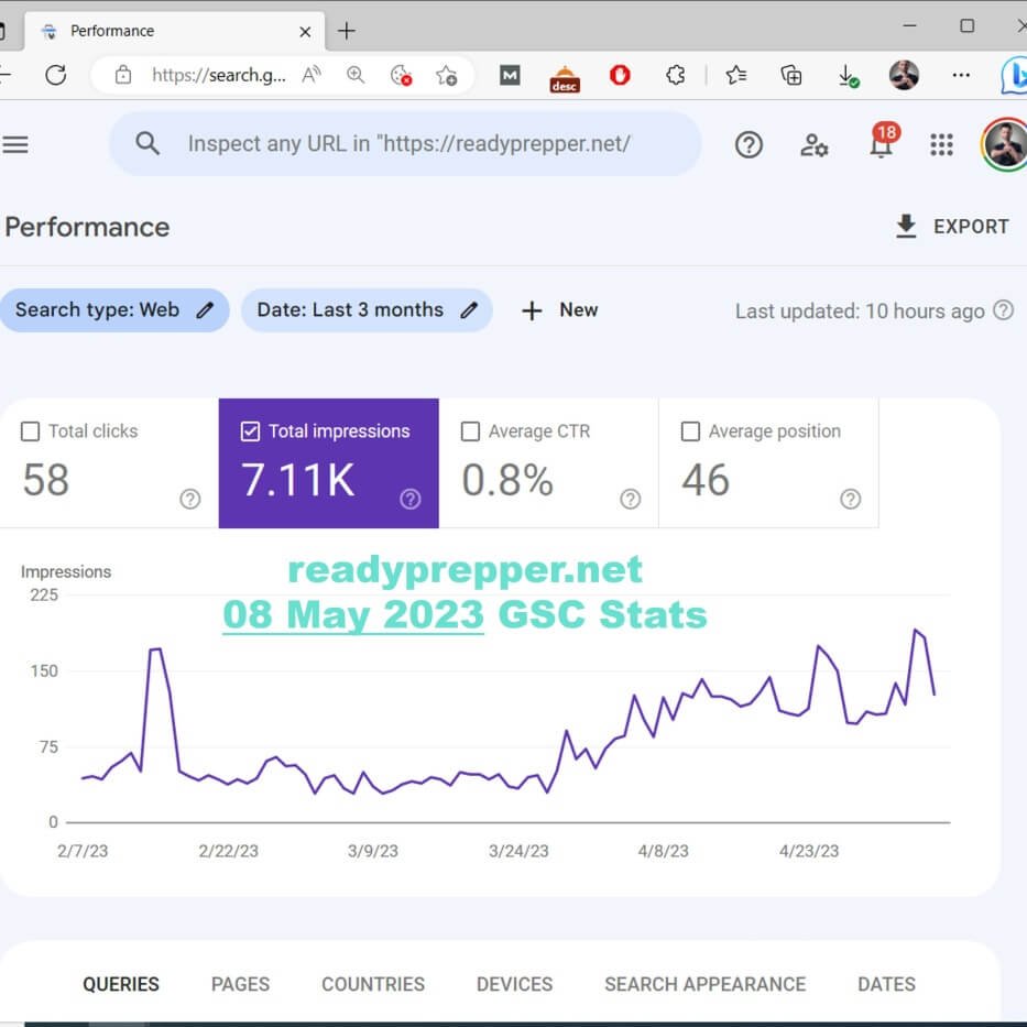 seo case study affiliate website readyprepper.net - search console stats